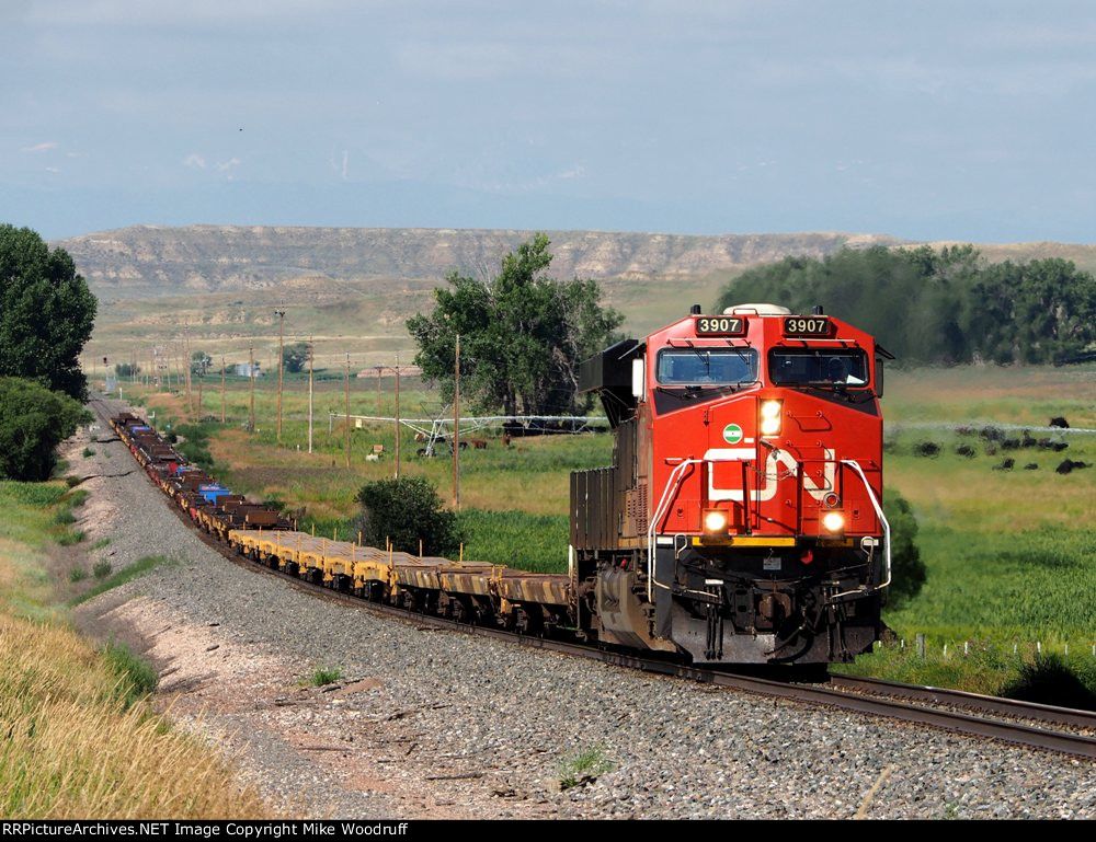 CN 3907